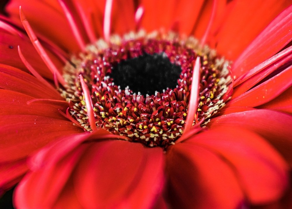 Photograph by Оксана Лукшина