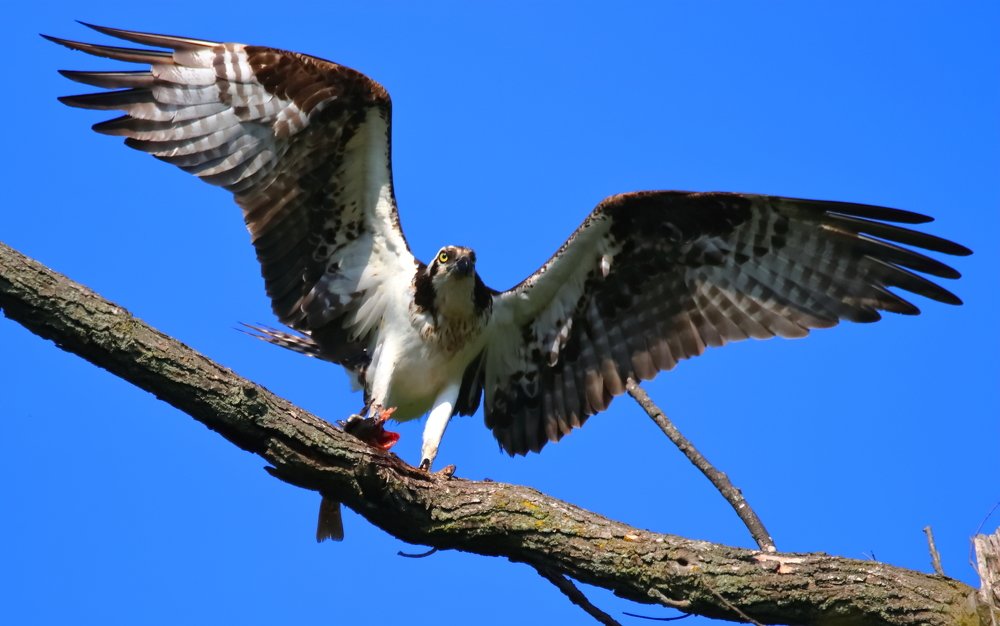 Photograph by JAMES BAILEY