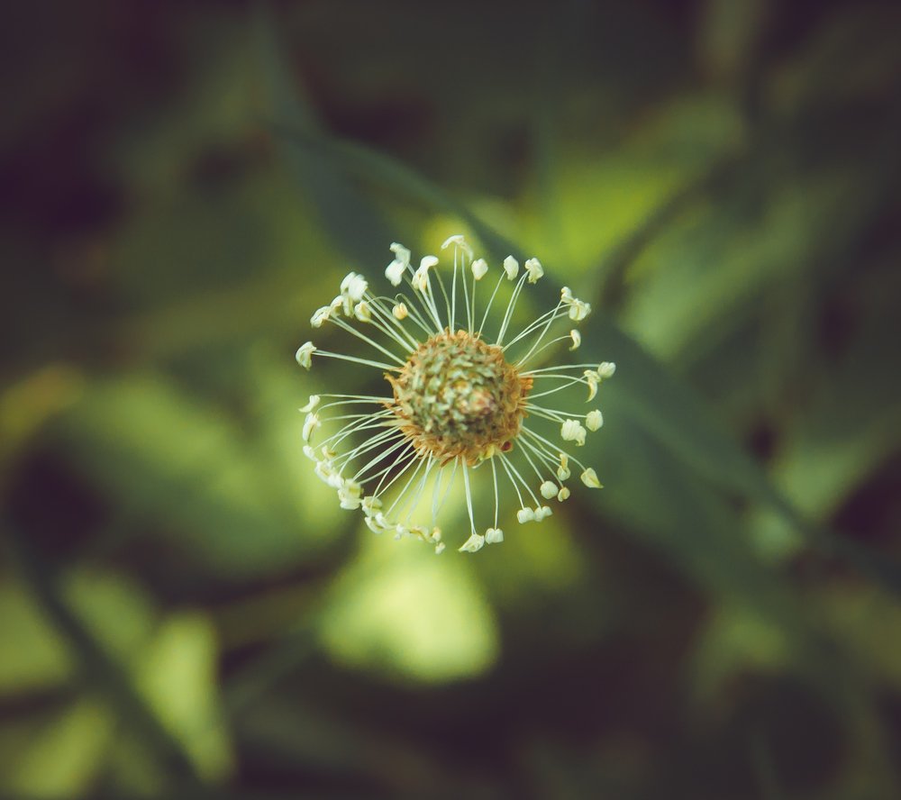 Photograph by Saulius Mikalauskas