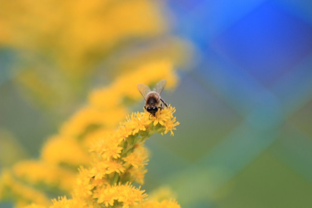 Photograph by Флорис Закреев