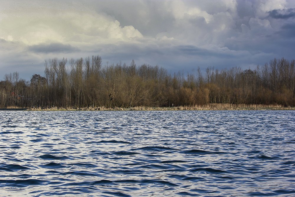 Photograph by Shafqat nabi