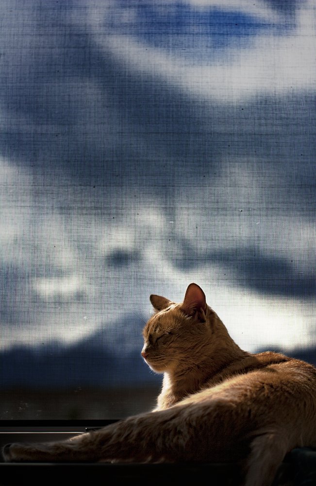 Photograph by Денис Бондик