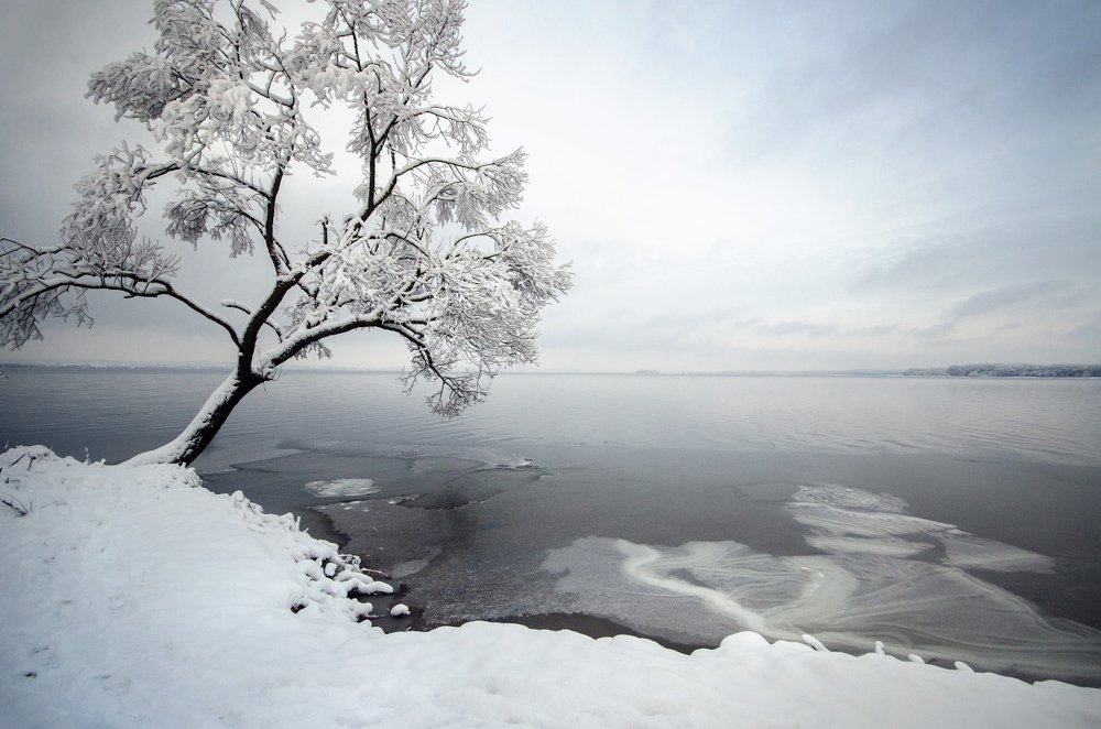 Photograph by Людмила Сиденко