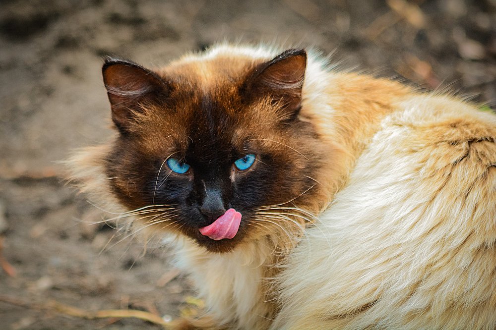 Photograph by Александр Аношкин