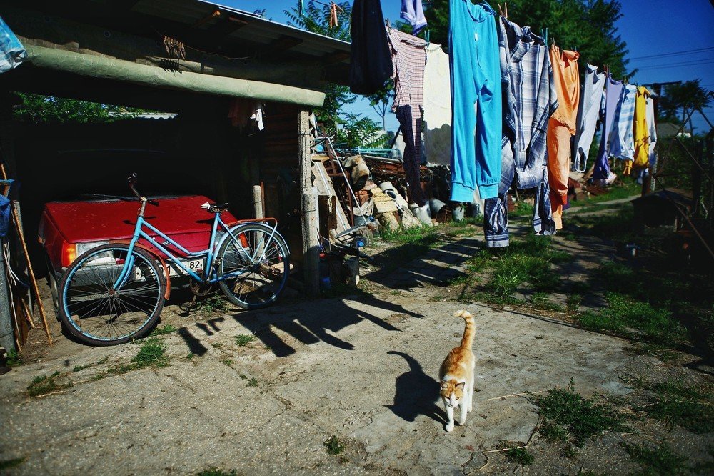 Photograph by Покровская Екатерина