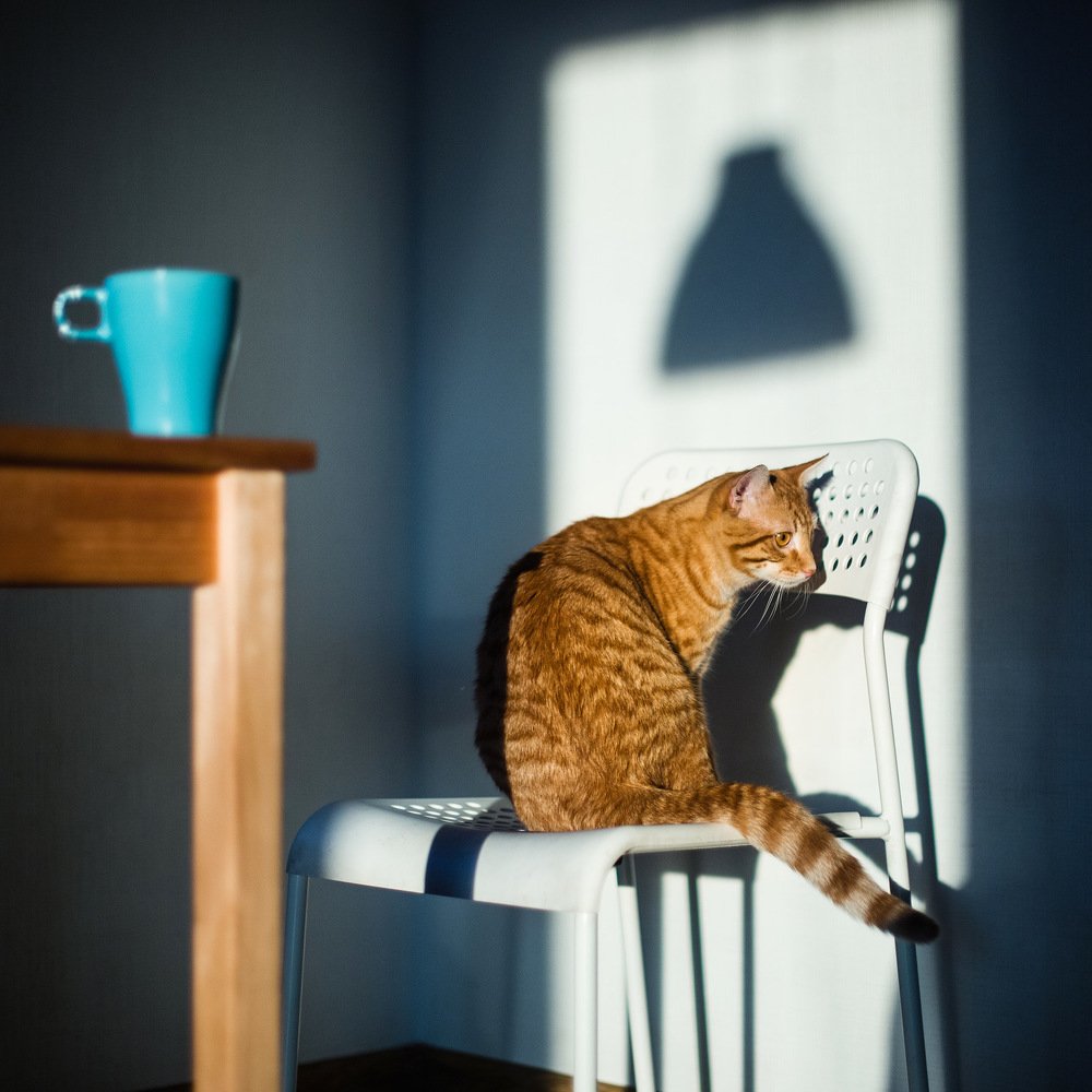 Photograph by Покровская Екатерина