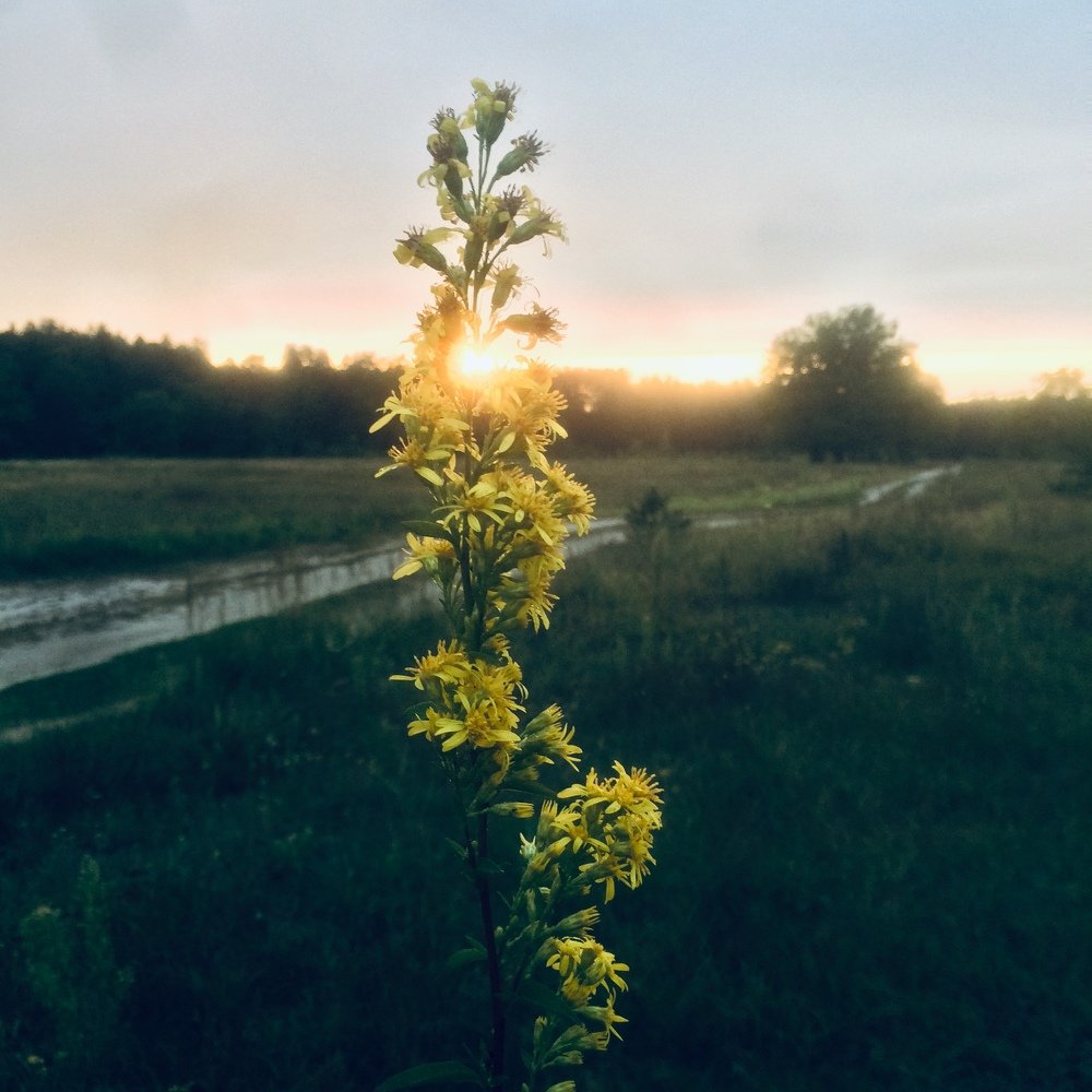 Photograph by Рената Мехова
