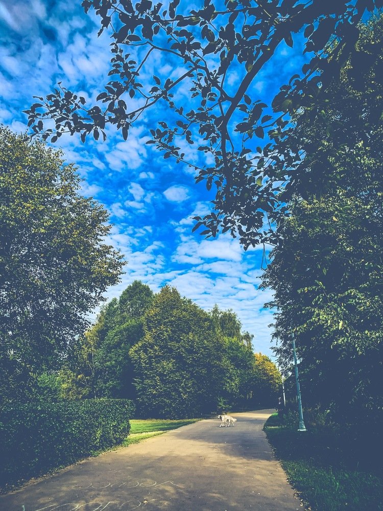 Photograph by Alena Shkurlakova