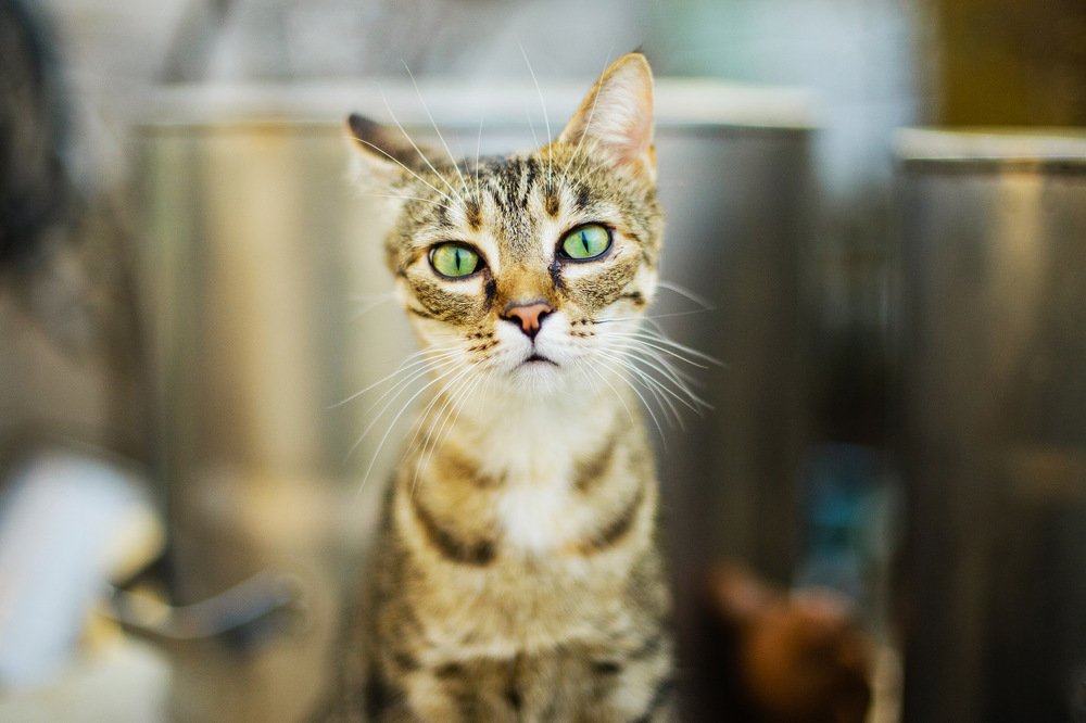 Photograph by Покровская Екатерина