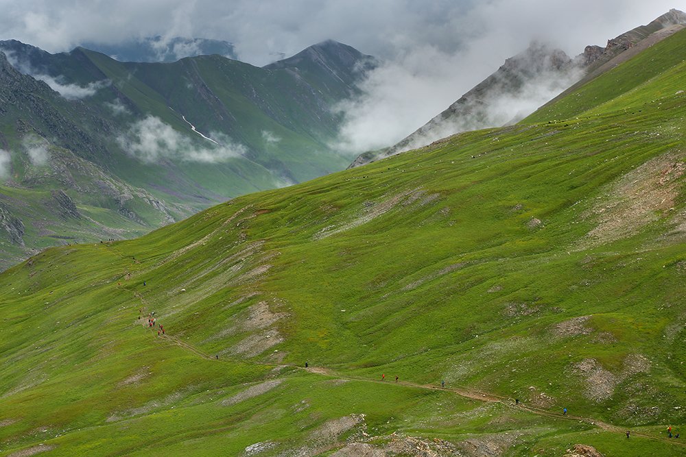 Photograph by  shafqat nabi