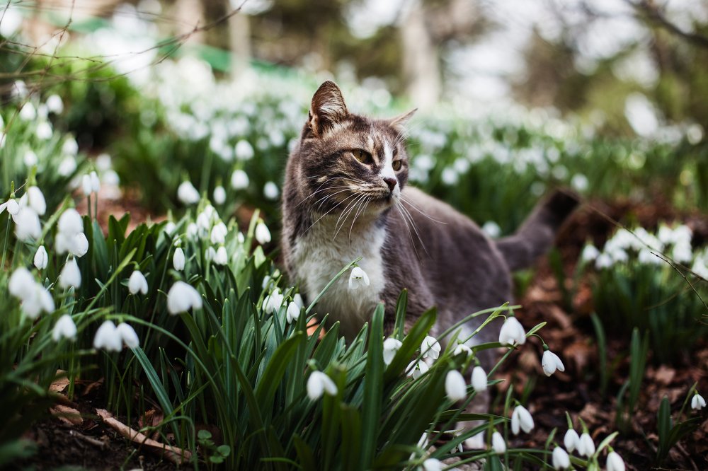 Photograph by Покровская Екатерина