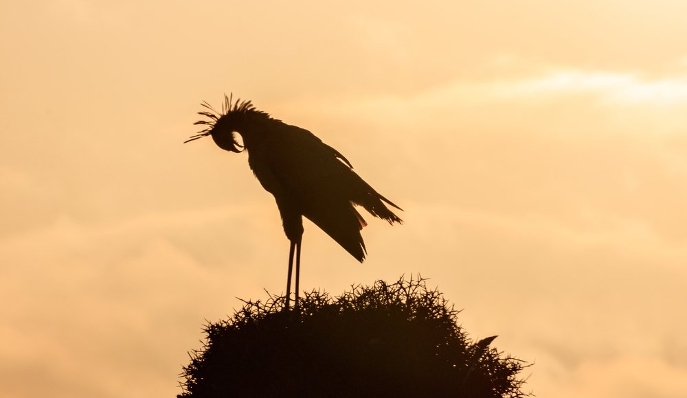 Photograph by Samuel kivevo