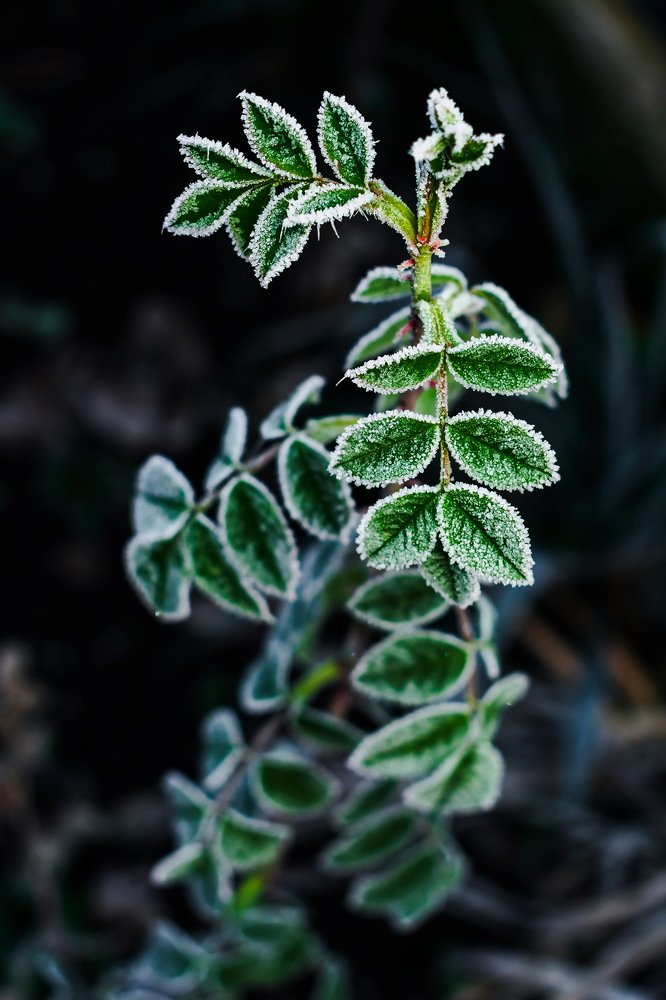 Photograph by Олександр Дмитрук