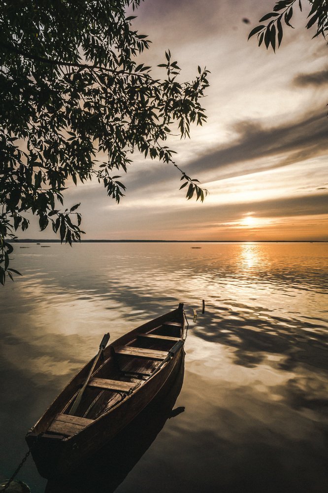 Photograph by Полина Кумицкая