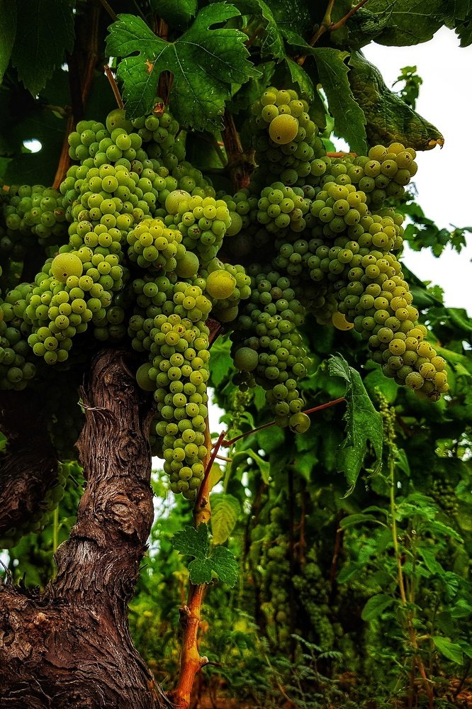 Photograph by Marcin Sokolowski - maarew