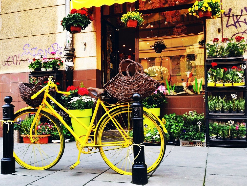 Photograph by Marcin Sokolowski - maarew