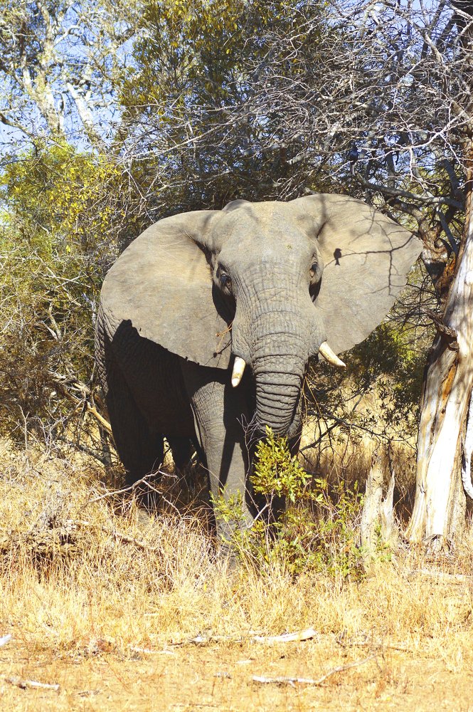 Photograph by Alta Anderson