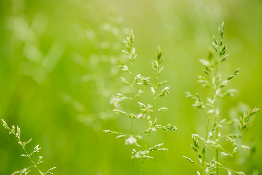 Photograph by Кадырова Марина