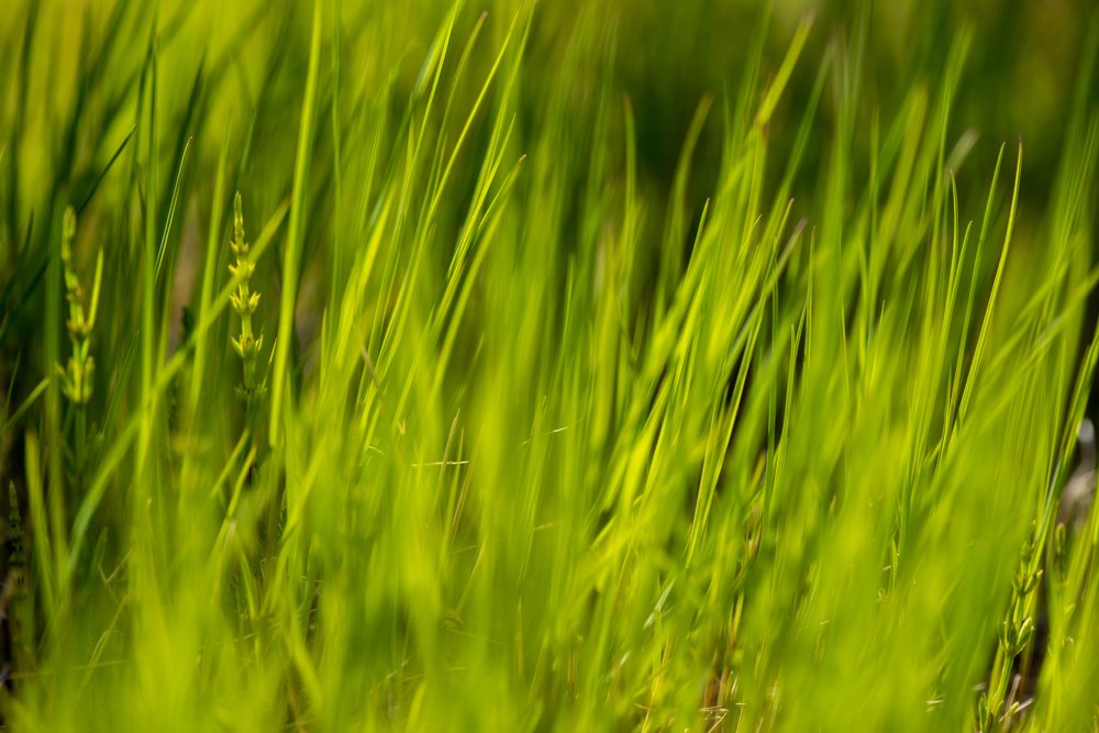 Photograph by Кадырова Марина