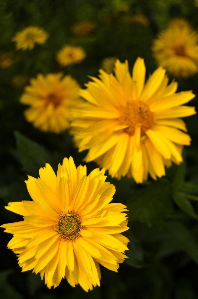 Photograph by Мария Илясова