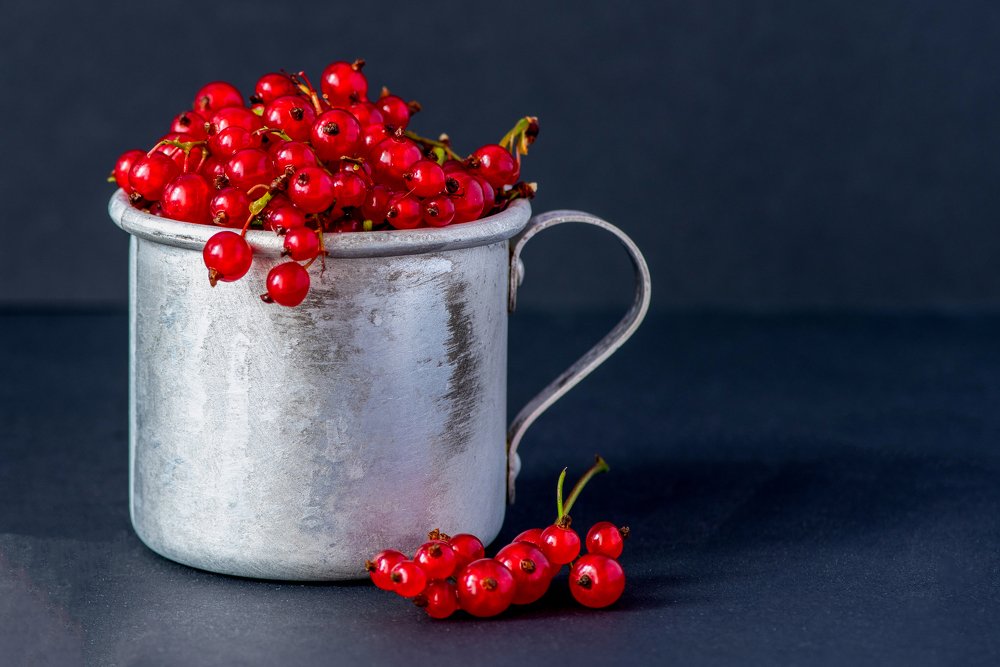 Photograph by Кадырова Марина