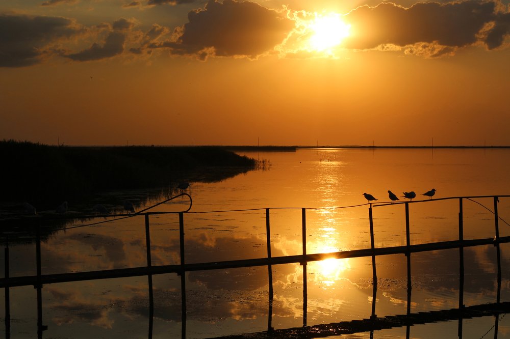 Photograph by Виктория Бурова