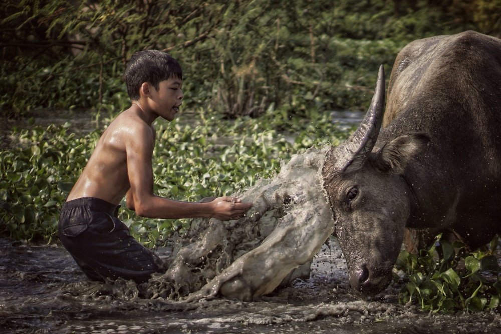 Photograph by Mohd Arrazi Rosdi