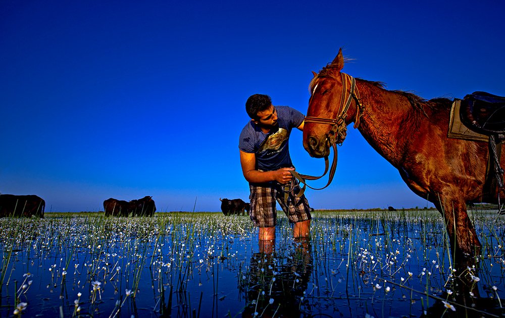 Photograph by Ramazan Yıldırım