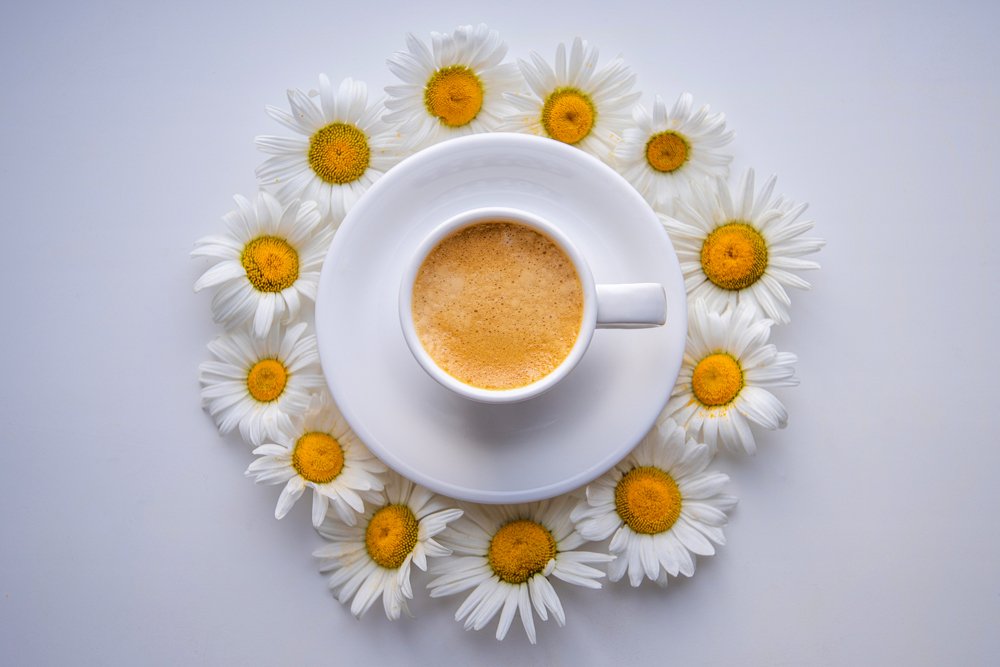 Photograph by Кадырова Марина