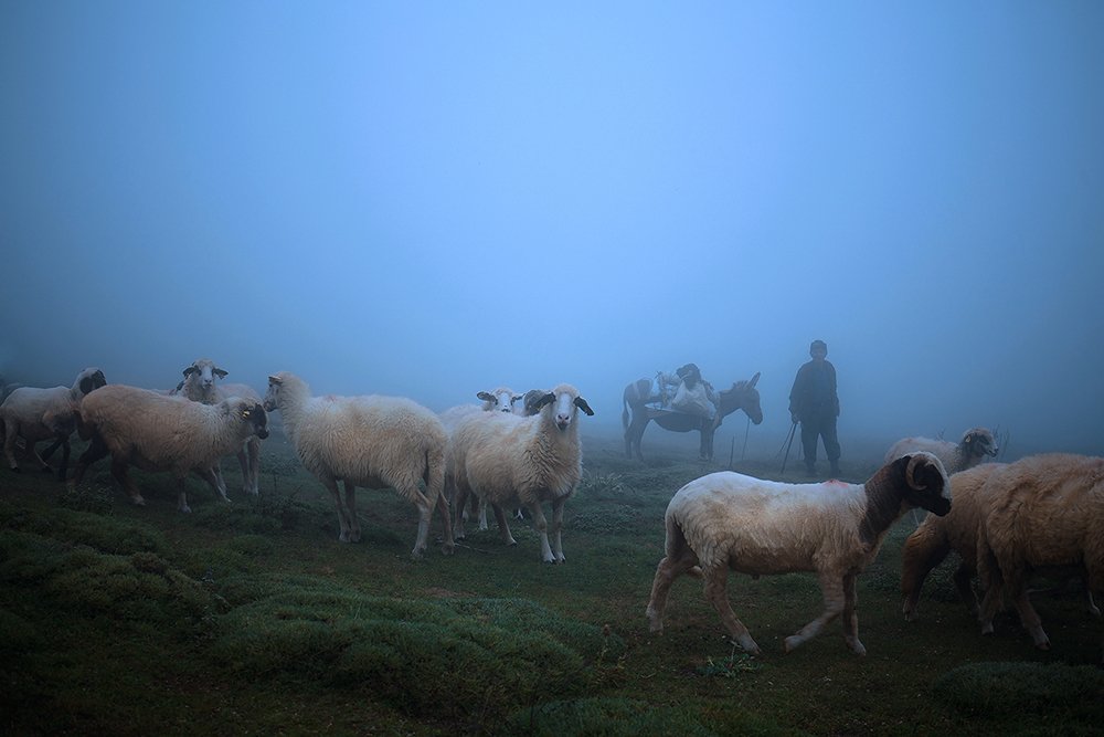 Photograph by Ramazan Yıldırım