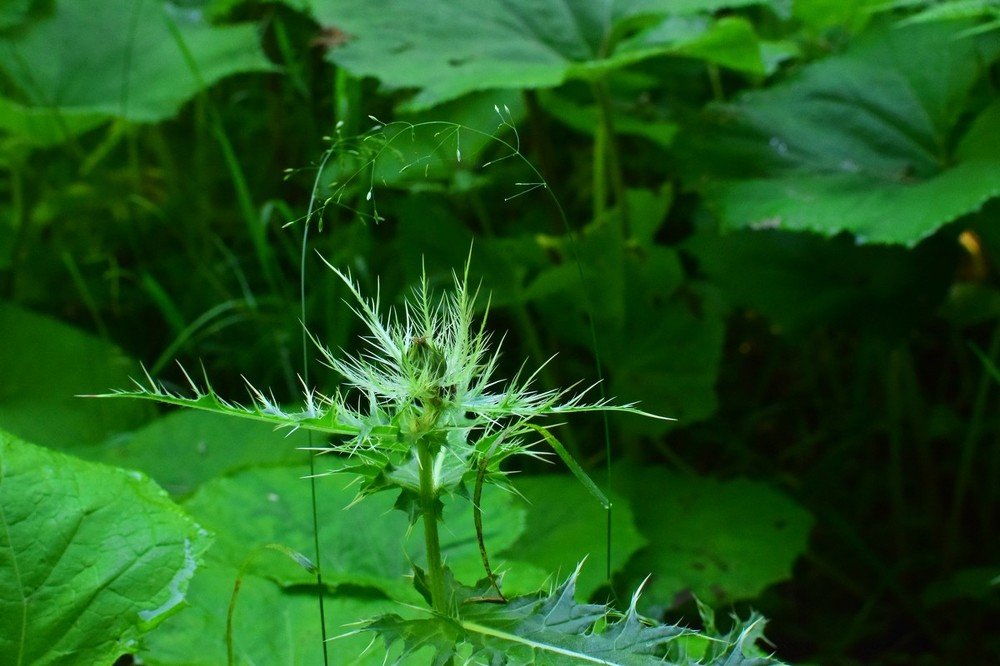 Photograph by Александр