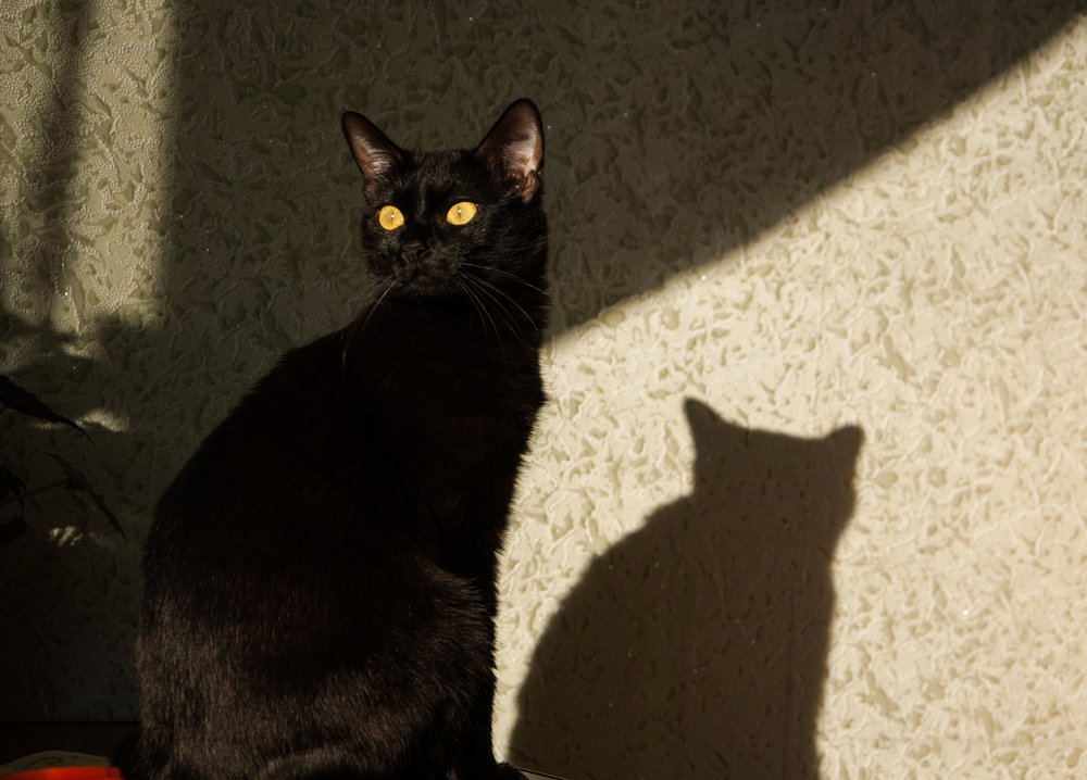 Photograph by Сергей Тютюнник