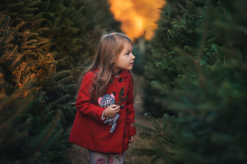 Photograph by Olga Fortunatova