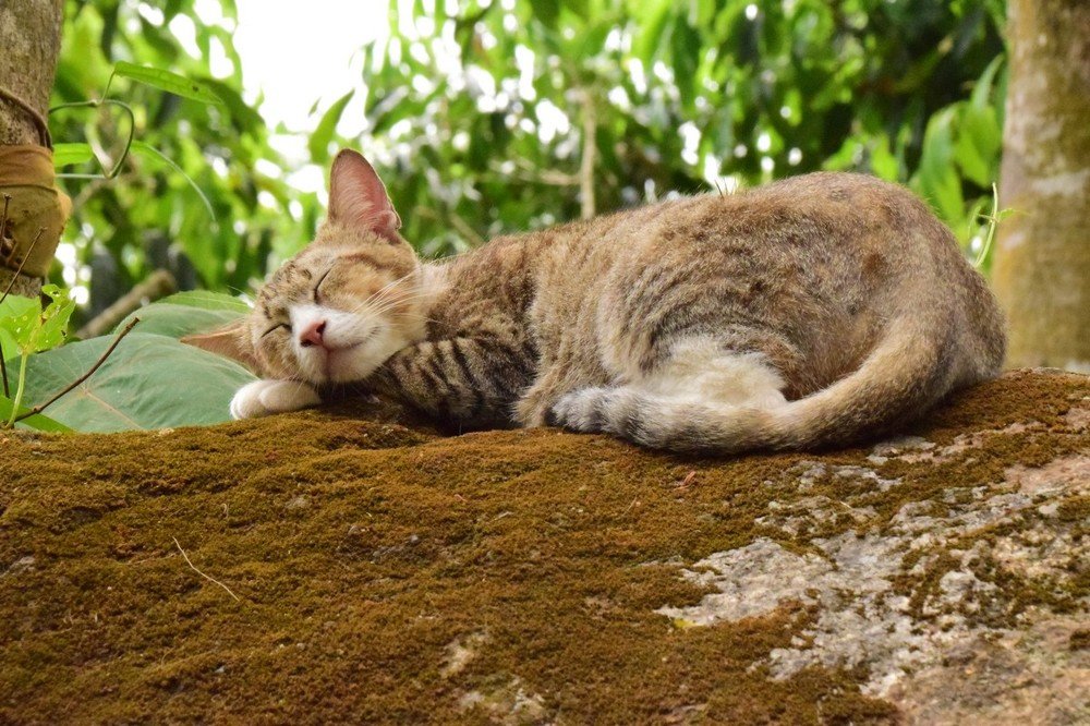 Photograph by Александр