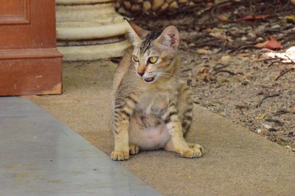 Photograph by Александр