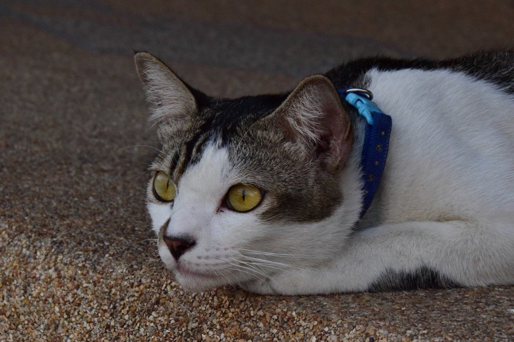 Photograph by Александр