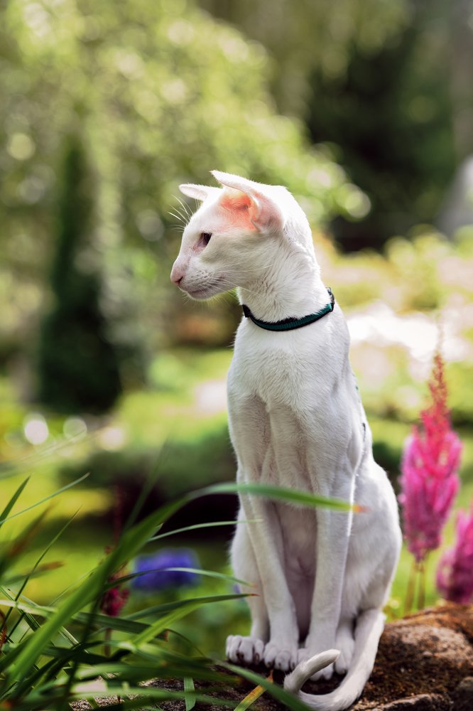 Photograph by Nataliya Starikova