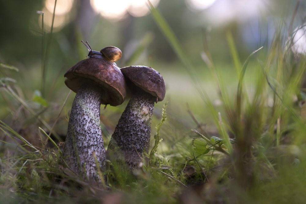 Photograph by Светлана Давыдова