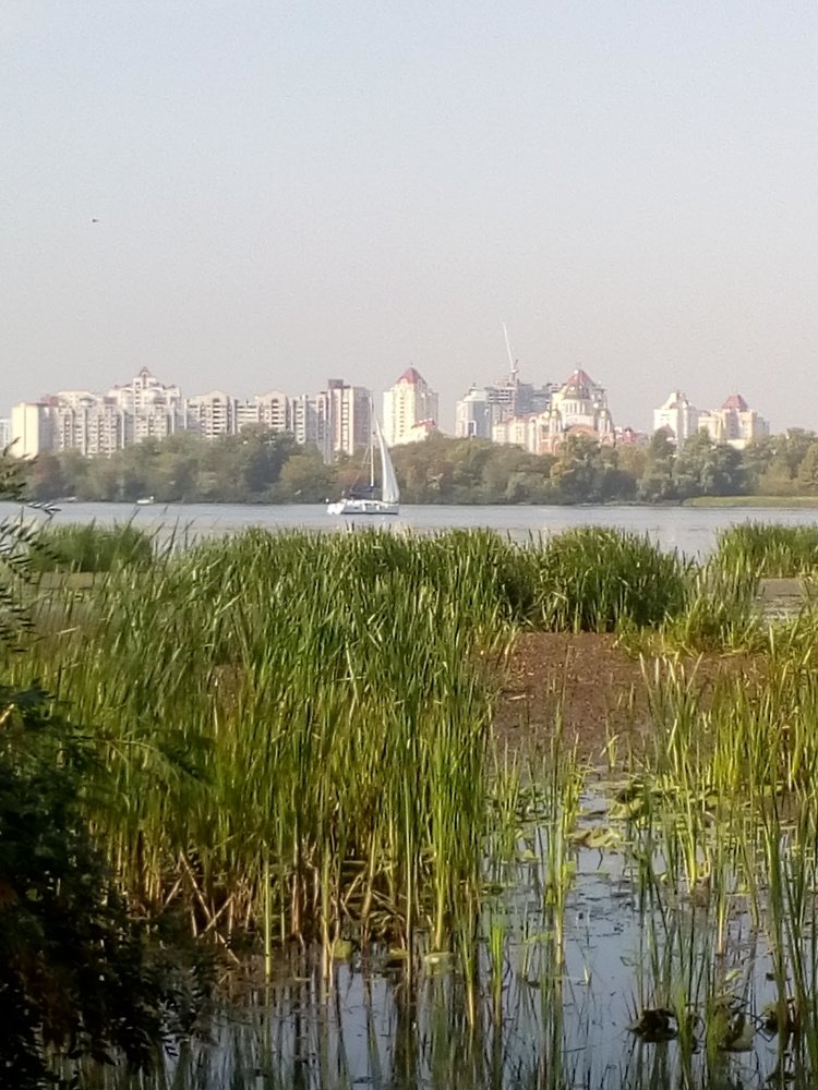 Photograph by Еле Ско