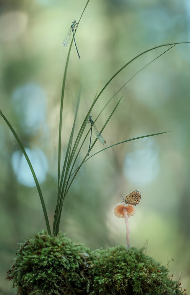 Photograph by Сергей Троицкий