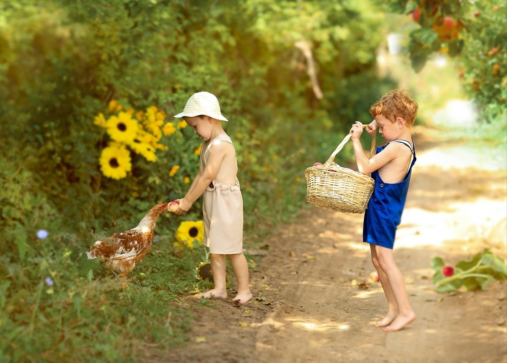 Голодная курица