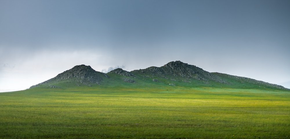 Зелёные поля Алтая