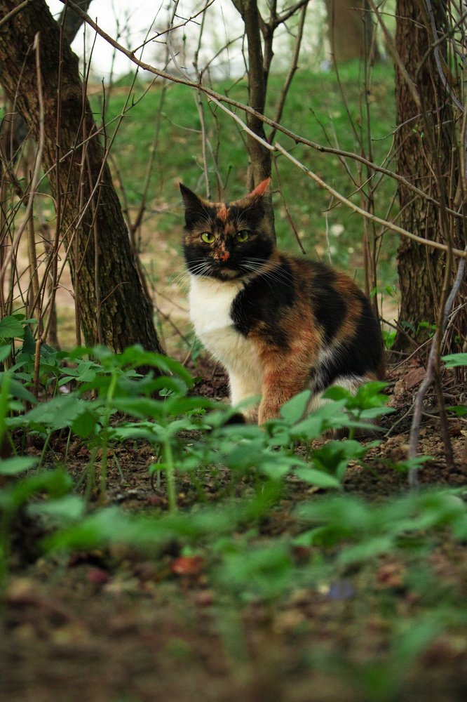 Photograph by Юлия