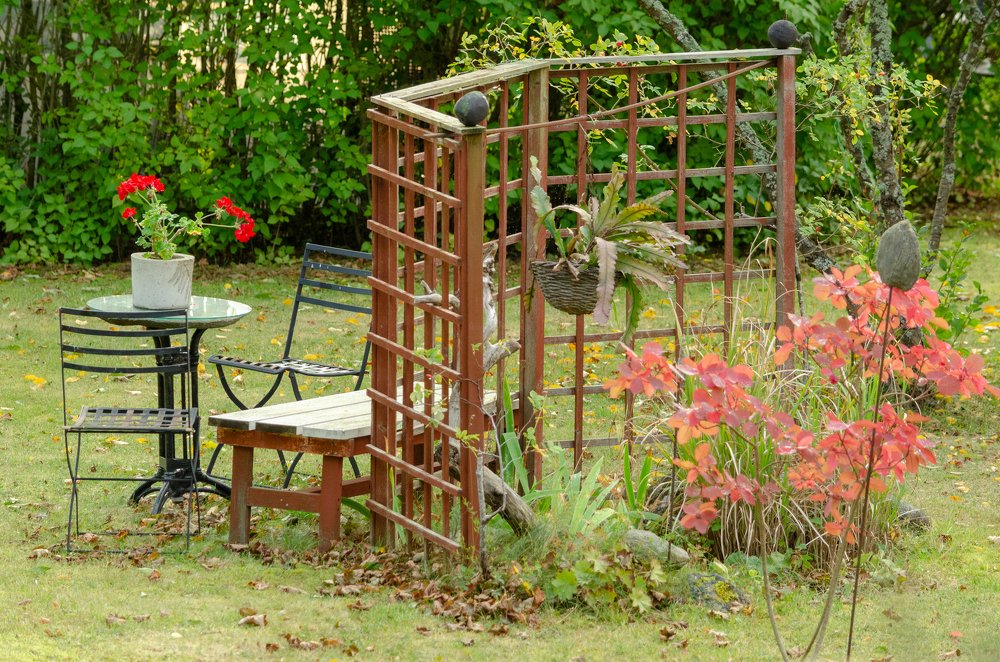 Фотография автора Muhammad Haris