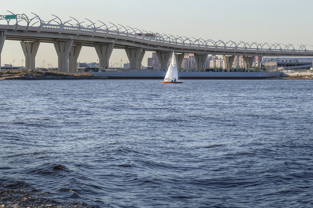 Photograph by Мария Самохина