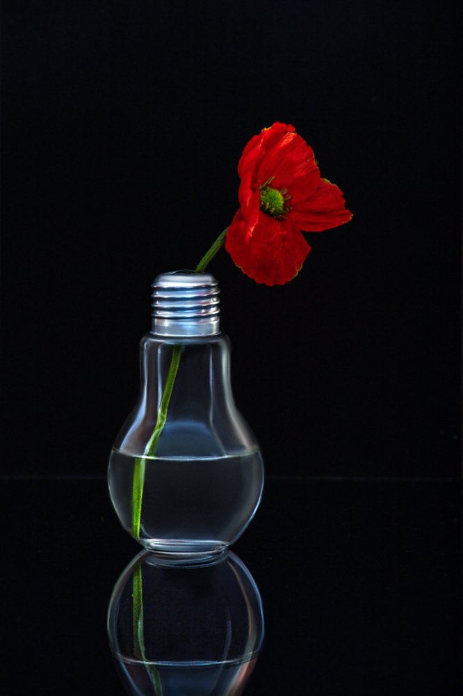 Photograph by Полина Беляева