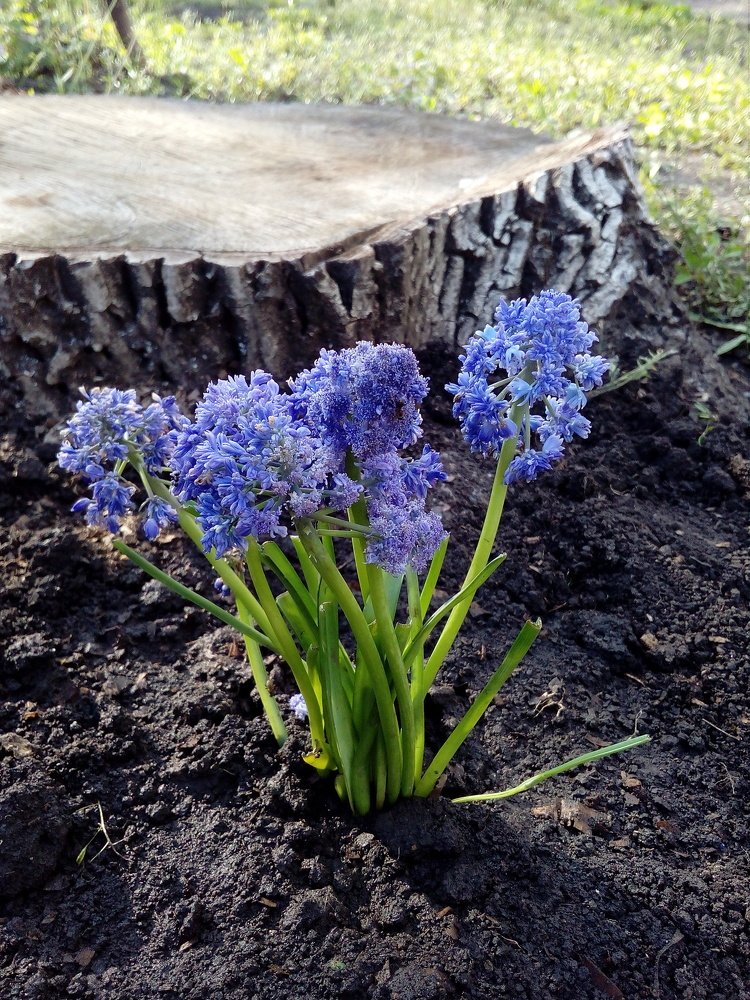 Photograph by Ирина Марченко