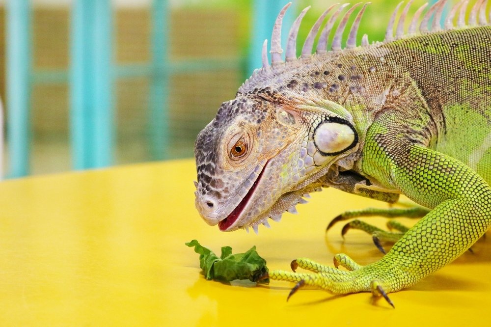 Photograph by Юлия