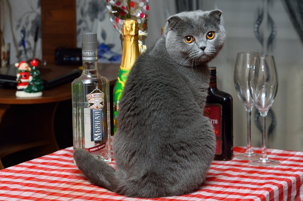 Photograph by Анатолий Сидоренков