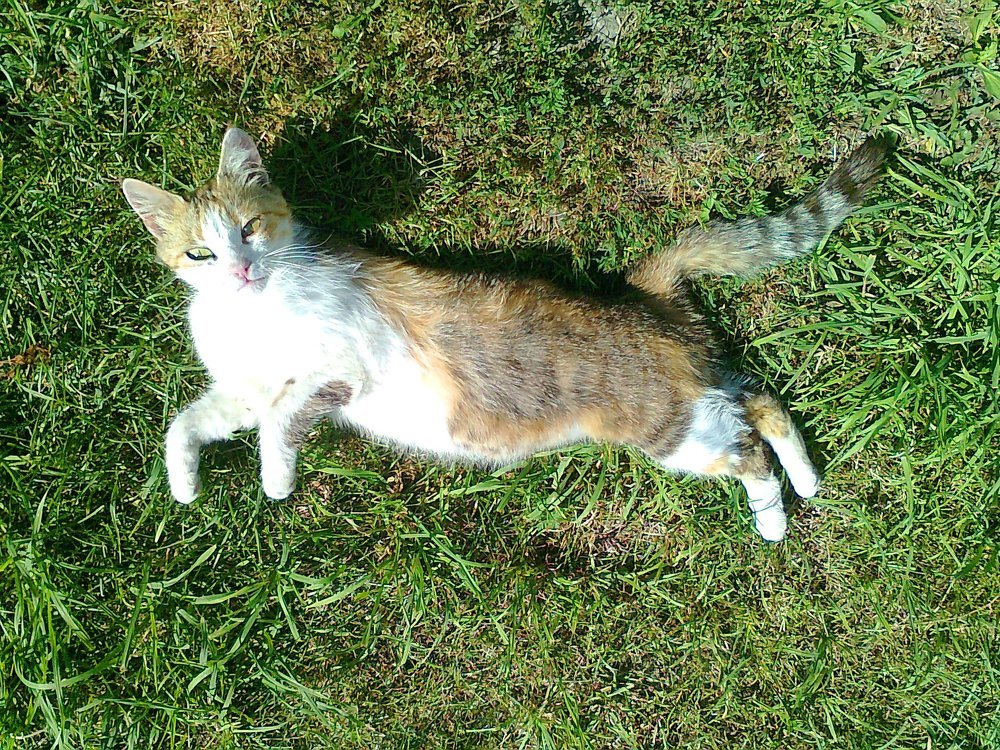 Photograph by Ирина Марченко